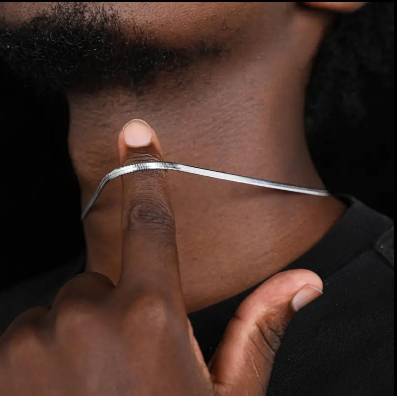 Le collier silver snake