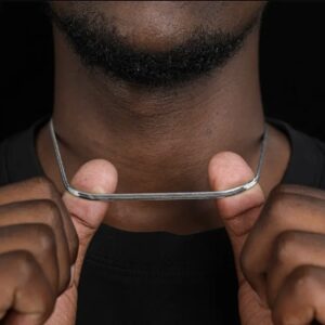 Le collier Silver snake